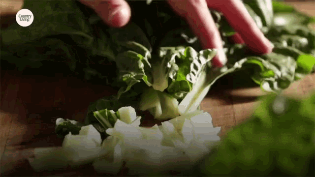 Chopping Kitchen Knife GIF - Chopping Kitchen Knife Celery GIFs