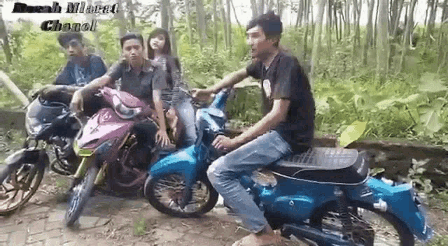 a group of people are sitting on motorcycles in a forest .
