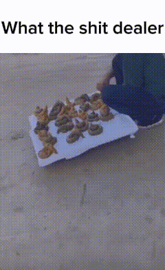 a person is sitting on a skateboard next to a tray of poop with the words what the shit dealer below it