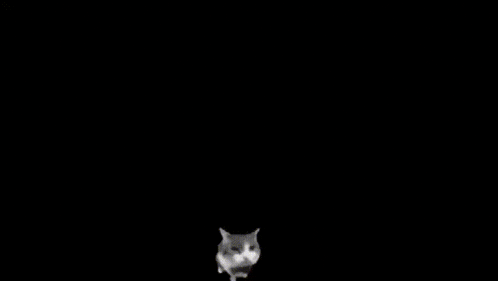 a black and white striped background with a white border