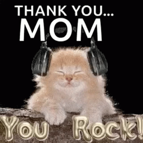 You Rock Cat GIF - You Rock Cat Thank You GIFs