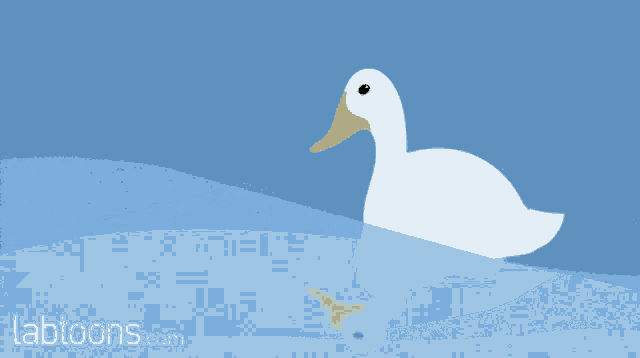 Duck Waves GIF - Duck Waves Floating GIFs