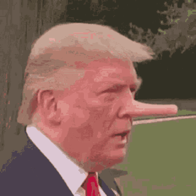My Stuff Donald Trump GIF - My Stuff Donald Trump Nose GIFs