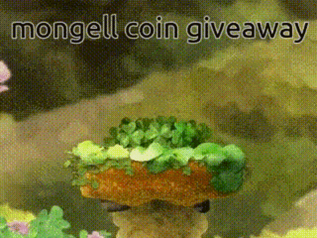 Mongell Coin GIF - Mongell Coin GIFs