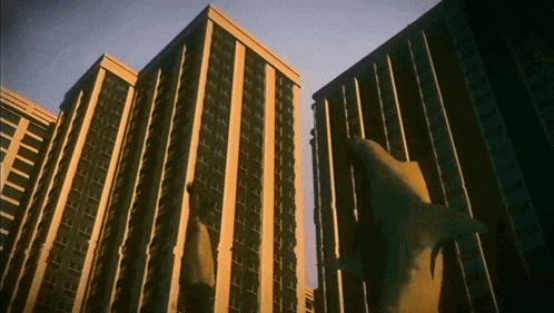 a dolphin is swimming between two tall buildings in a city