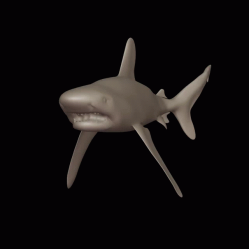 Shark 3d GIF - Shark 3d GIFs