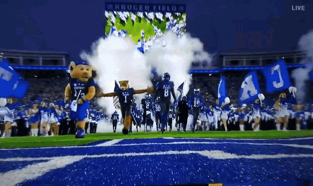 Kentucky Football GIF - Kentucky Football Wildcats GIFs