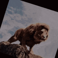 a lion standing on top of a rocky hill