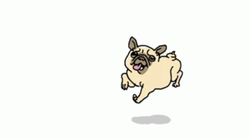 Happy Pug Excited Pug GIF - Happy Pug Excited Pug Happy Dance GIFs