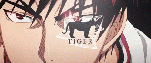 Mad Tiger GIF - Mad Tiger Anime GIFs