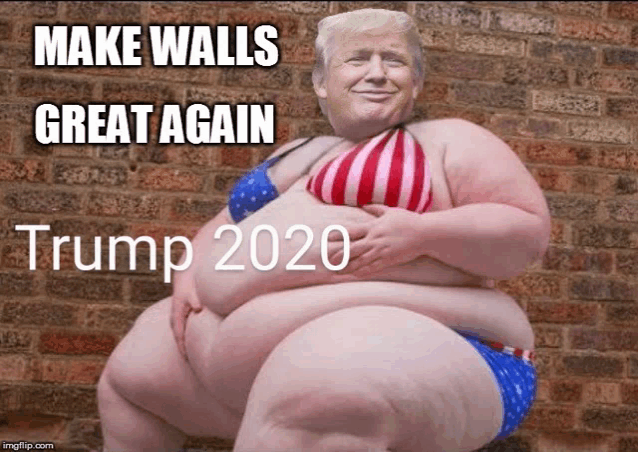 a picture of a woman in a bikini with the words make walls great again trump 2020