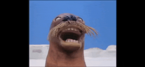 a seal with a long mustache is making a funny face with its mouth open