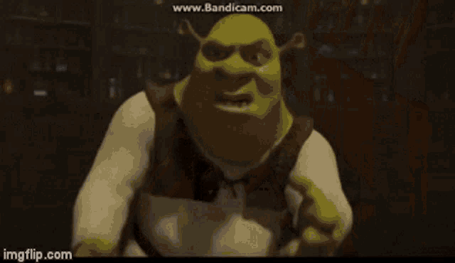 Shrek2 Dreamworks GIF - Shrek2 Dreamworks Movie GIFs