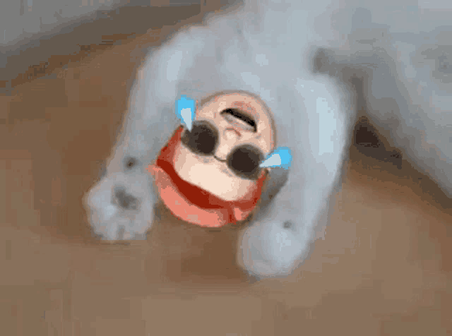 a white cat is laying on its back with a cartoon character on its head .