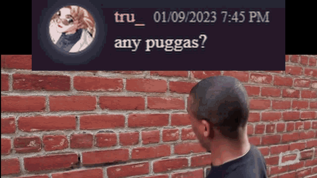 Pugs Tru GIF - Pugs Tru Tf2 GIFs