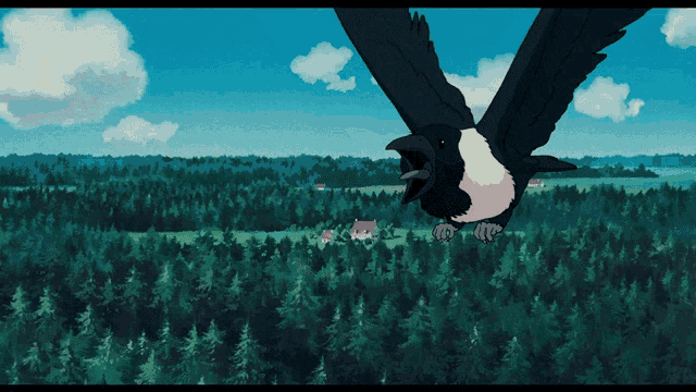 a black and white bird flying over a lush green forest