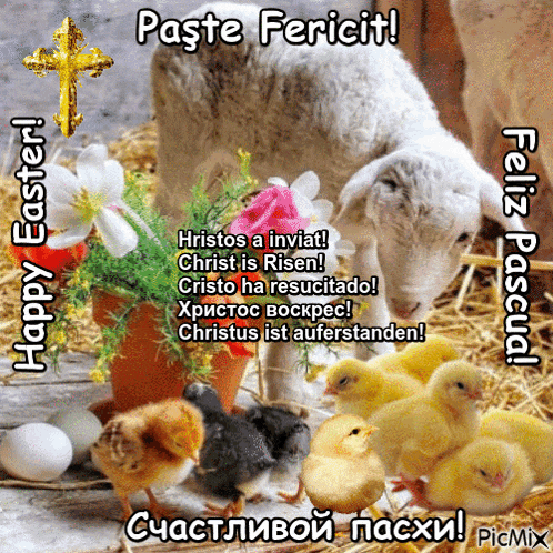 a picture of a sheep and chicks with the words happy easter written on the bottom