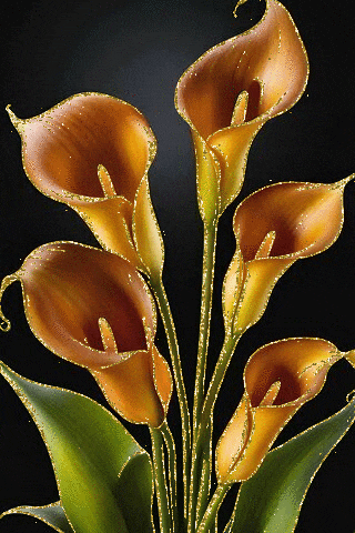 a bunch of orange and yellow flowers with green leaves