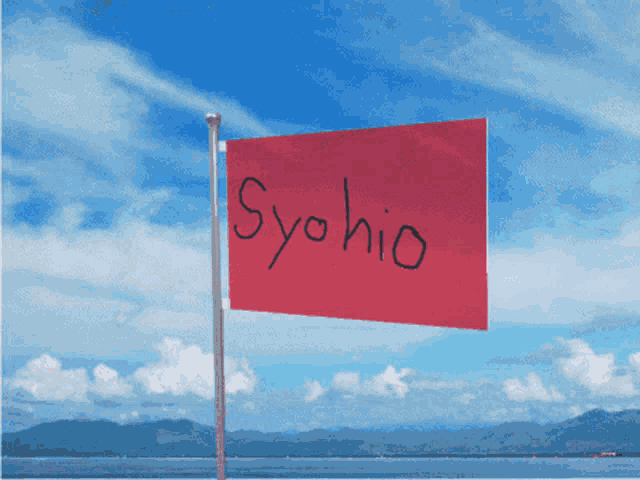 a red flag with syohio written on it is flying in the wind