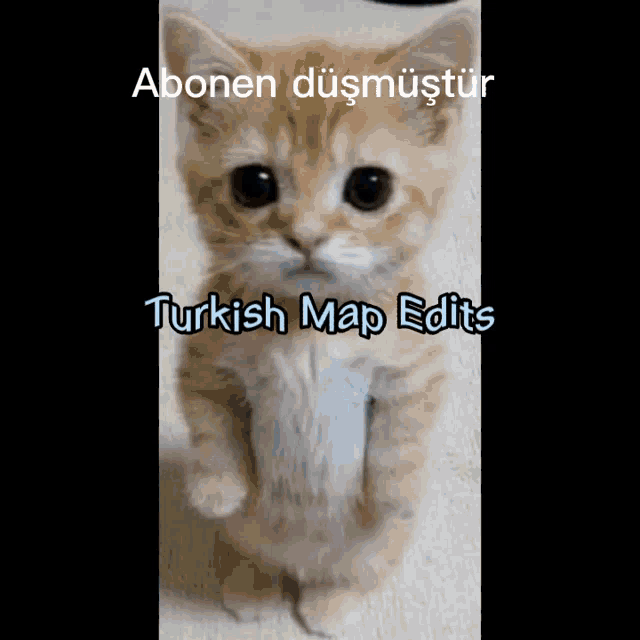 Turkishelgato12 GIF - Turkishelgato12 GIFs