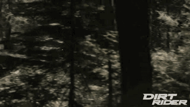 Forest Ride Rough Tracks GIF - Forest Ride Rough Tracks Motorcross GIFs
