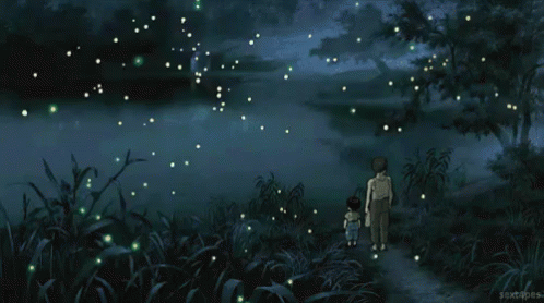 Watching The Fireflies GIF - Miyazaki Fireflies Anime GIFs