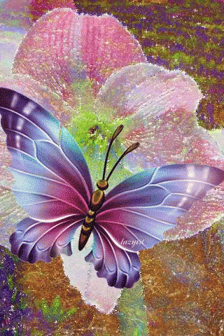 a colorful butterfly is sitting on top of a pink flower