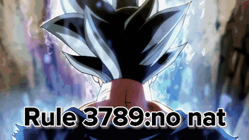 a picture of a cartoon character with the words rule 3789 no nat