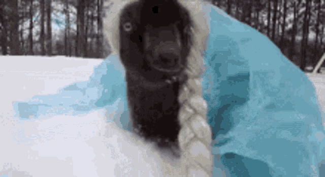 Wha Let It Go GIF - Wha Let It Go Funny GIFs