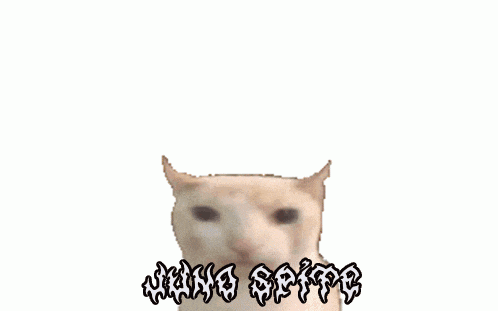 a pixelated image of a cat with a flame coming out of its head and the words " king of fire " below it