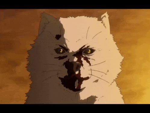 a close up of a cat with blood on its nose