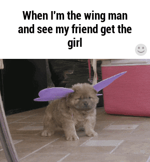 When I'M The Wingman GIF - Dog Wings Butterfly GIFs