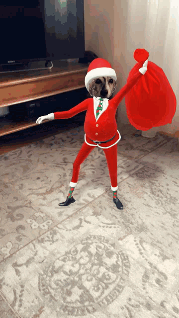 a dog dressed in a santa suit is holding a red bag