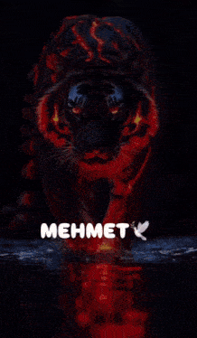a red tiger is surrounded by lightning and the name mehmet is on the bottom