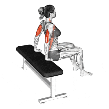 a woman sits on a bench with muscles highlighted in red