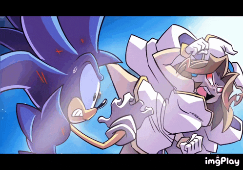 a cartoon of sonic the hedgehog fighting another cartoon character with the words imgplay below it