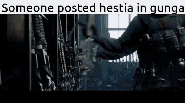 someone posted hertia in gunga on a video game screen