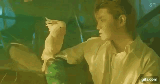 a man in a white shirt is holding a parrot on his arm .