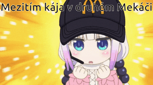 a picture of a girl wearing a mcdonald 's hat with the caption mezitim kaja v druhem mekaci