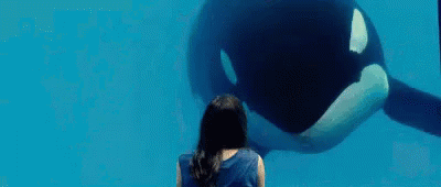Marion Cotillard GIF - Marioncotillard Orca GIFs