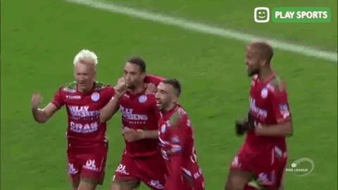 a group of soccer players are celebrating a goal on a field sponsored by play sports .