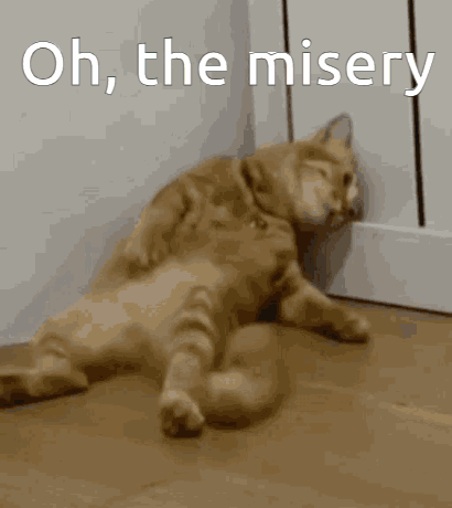 Oh-the-misery Sad-cat GIF - Oh-the-misery Sad-cat GIFs