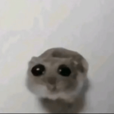 Sad Hamster GIF - Sad Hamster Sad Face GIFs