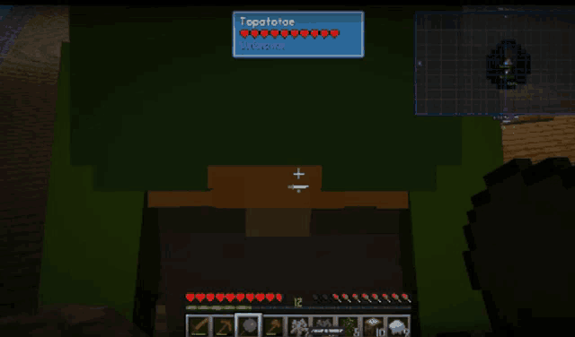a screenshot of a video game with the word topototoe on the top