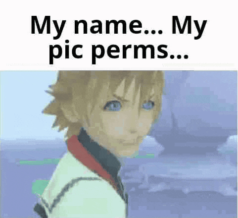 a screenshot of a video game character with the words `` my name ... my pic permits ... '' .