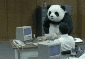 a man is sitting at a desk with a panda bear standing behind him
