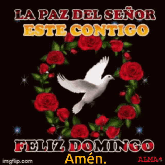 a picture of a dove in a wreath of red roses says feliz domingo amen
