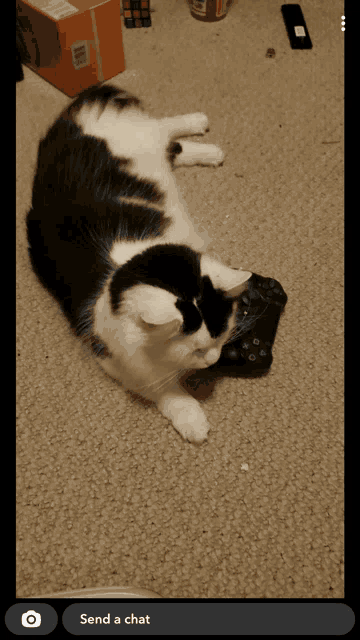 a black and white cat is laying on the floor next to a controller