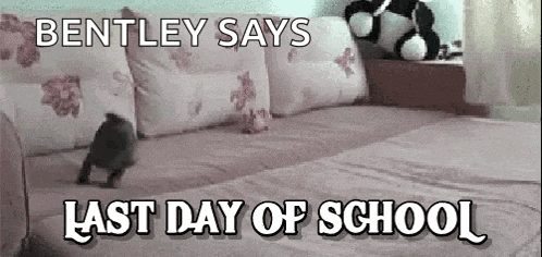 a dog is walking on a bed with the words `` bentley says last day of school '' written on it .
