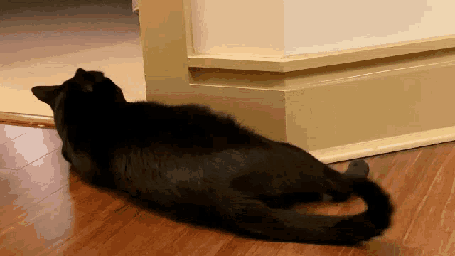 a black cat laying on a wooden floor next to a door